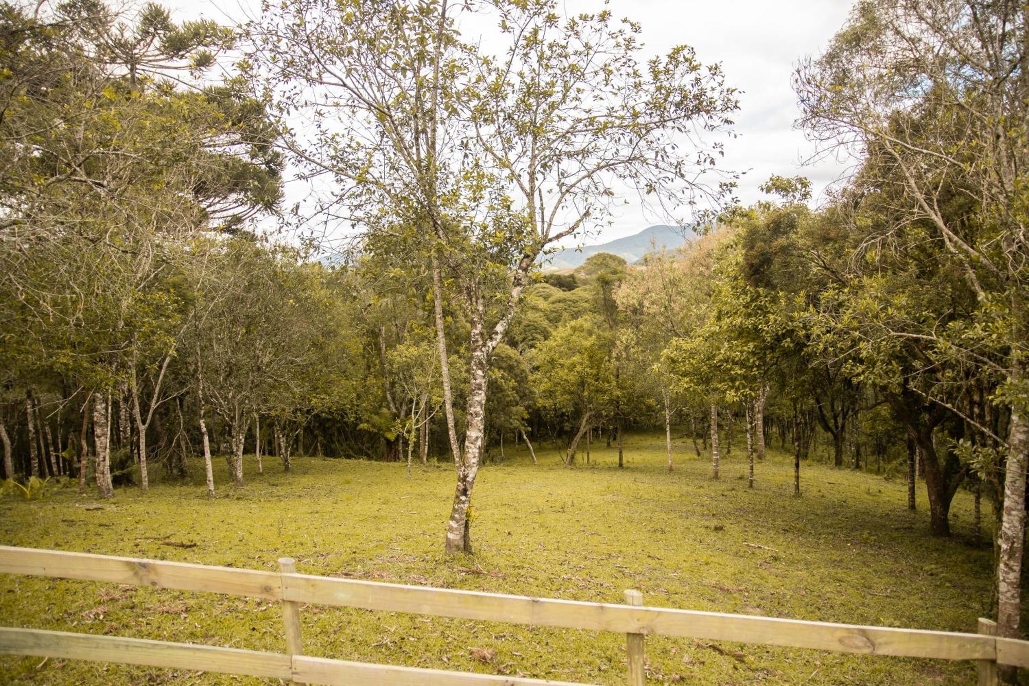 Cabana Com Hidromassagem Bom Retiro  Εξωτερικό φωτογραφία